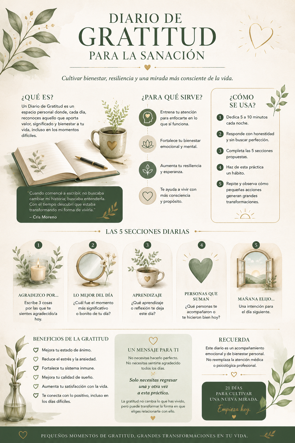 Infografía del Diario de Gratitud para la Sanación: qué es, para qué sirve, cómo se usa y sus 5 secciones diarias